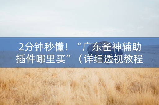 2分钟秒懂！“广东雀神辅助插件哪里买”（详细透视教程）-哔哩哔哩