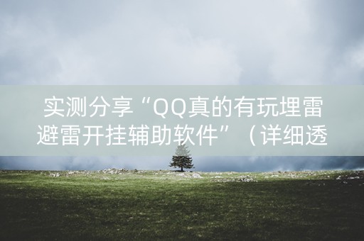 实测分享“QQ真的有玩埋雷避雷开挂辅助软件”（详细透视教程）-哔哩哔哩