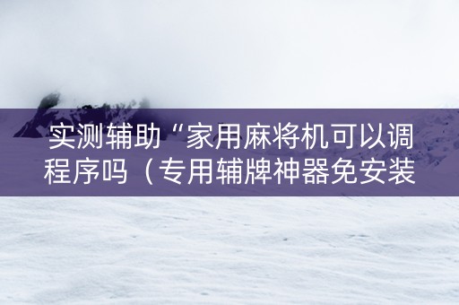 实测辅助“家用麻将机可以调程序吗（专用辅牌神器免安装）