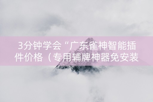 3分钟学会“广东雀神智能插件价格（专用辅牌神器免安装）