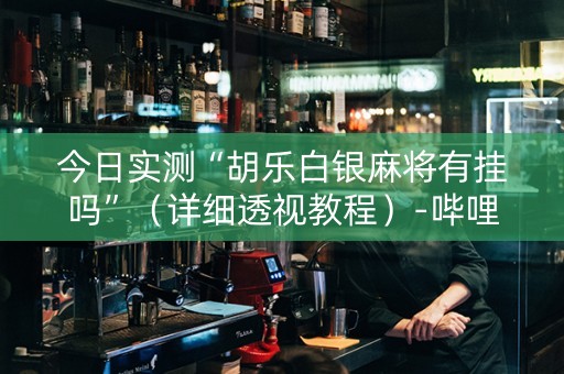 今日实测“胡乐白银麻将有挂吗”（详细透视教程）-哔哩哔哩