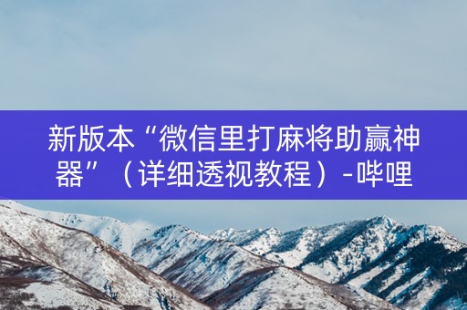 新版本“微信里打麻将助赢神器”（详细透视教程）-哔哩哔哩
