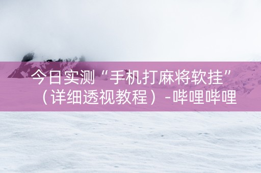 今日实测“手机打麻将软挂”（详细透视教程）-哔哩哔哩