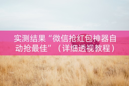 实测结果“微信抢红包神器自动抢最佳”（详细透视教程）-哔哩哔哩