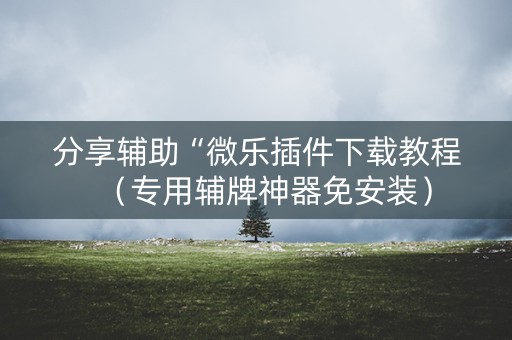 分享辅助“微乐插件下载教程（专用辅牌神器免安装）