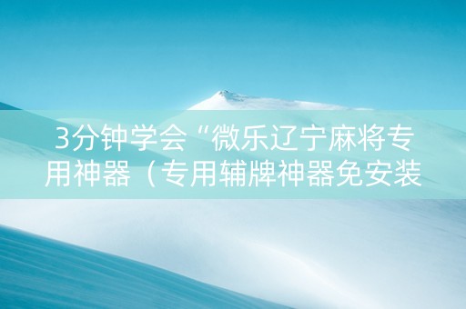 3分钟学会“微乐辽宁麻将专用神器（专用辅牌神器免安装）