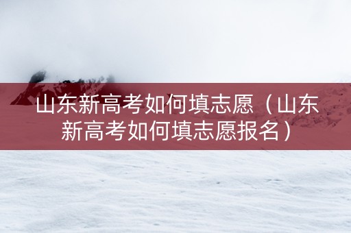 山东新高考如何填志愿（山东新高考如何填志愿报名）