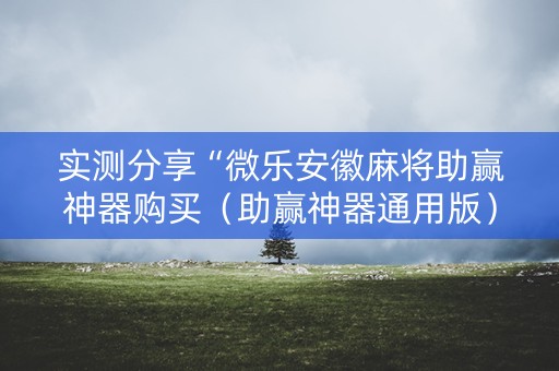 实测分享“微乐安徽麻将助赢神器购买（助赢神器通用版）