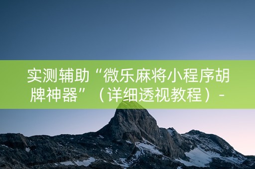 实测辅助“微乐麻将小程序胡牌神器”（详细透视教程）-哔哩哔哩