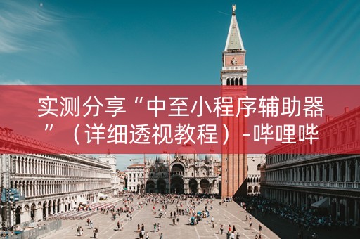 实测分享“中至小程序辅助器”（详细透视教程）-哔哩哔哩