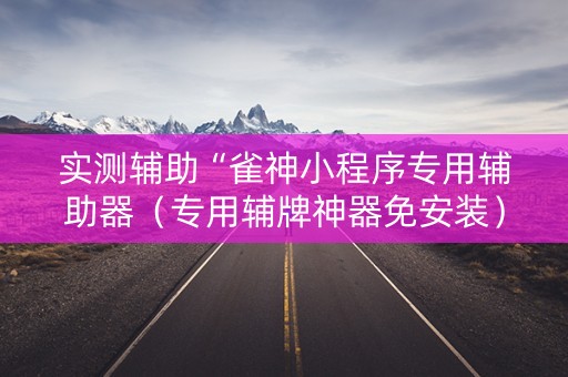 实测辅助“雀神小程序专用辅助器（专用辅牌神器免安装）