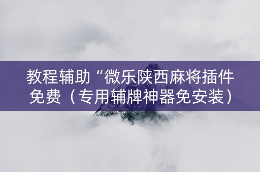 教程辅助“微乐陕西麻将插件免费（专用辅牌神器免安装）