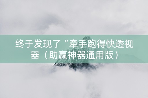 终于发现了“牵手跑得快透视器（助赢神器通用版）