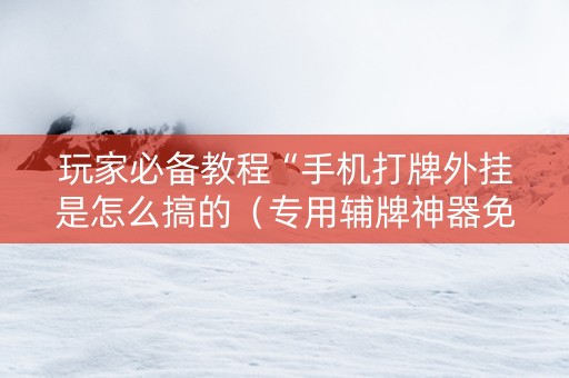 玩家必备教程“手机打牌外挂是怎么搞的（专用辅牌神器免安装）