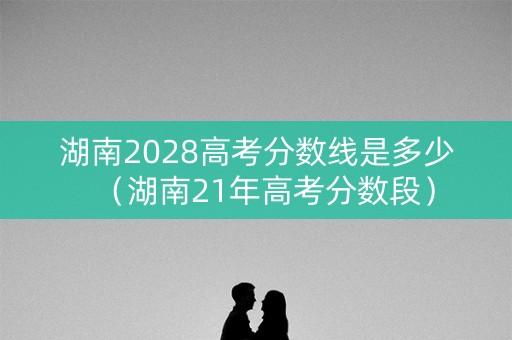 湖南2028高考分数线是多少（湖南21年高考分数段）