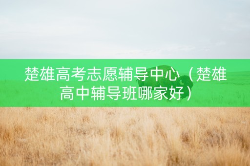 楚雄高考志愿辅导中心（楚雄高中辅导班哪家好）