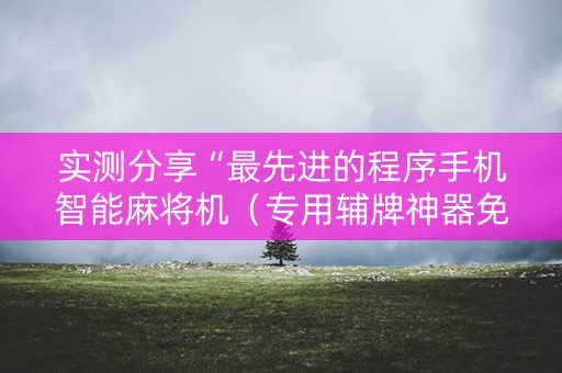 实测分享“最先进的程序手机智能麻将机（专用辅牌神器免安装）
