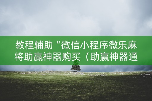 教程辅助“微信小程序微乐麻将助赢神器购买（助赢神器通用版）