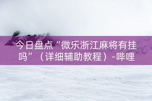 今日盘点“微乐浙江麻将有挂吗”（详细辅助教程）-哔哩哔哩