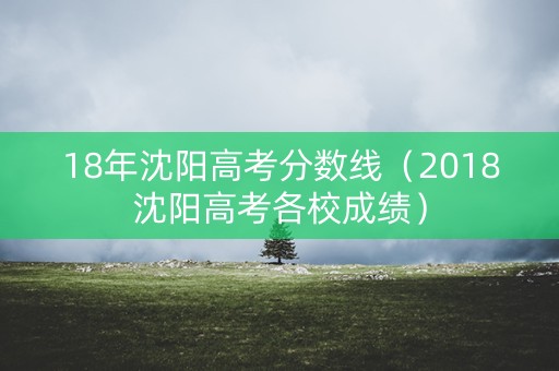 18年沈阳高考分数线（2018沈阳高考各校成绩）