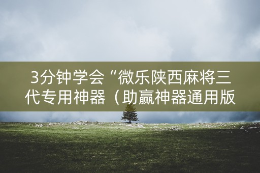 3分钟学会“微乐陕西麻将三代专用神器（助赢神器通用版）