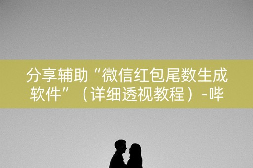 分享辅助“微信红包尾数生成软件”（详细透视教程）-哔哩哔哩