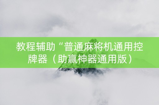 教程辅助“普通麻将机通用控牌器（助赢神器通用版）