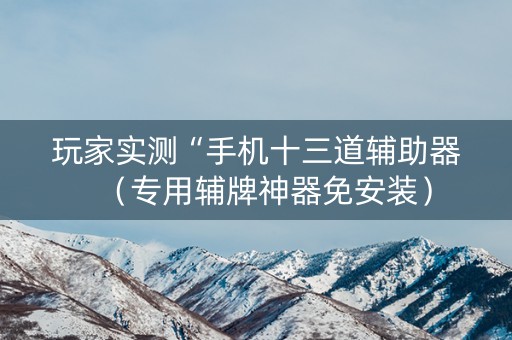 玩家实测“手机十三道辅助器（专用辅牌神器免安装）