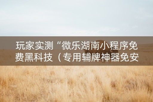 玩家实测“微乐湖南小程序免费黑科技（专用辅牌神器免安装）