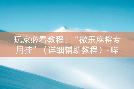 玩家必看教程！“微乐麻将专用挂”（详细辅助教程）-哔哩哔哩
