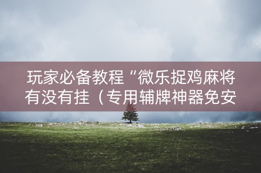 玩家必备教程“微乐捉鸡麻将有没有挂（专用辅牌神器免安装）
