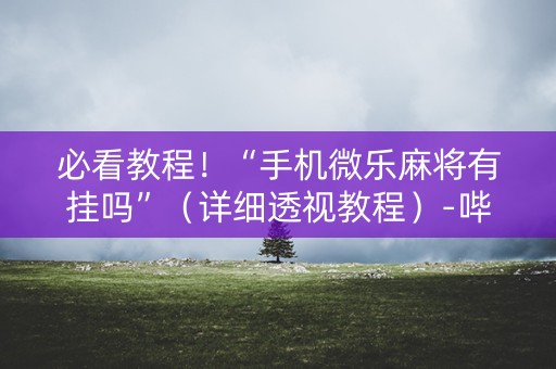 必看教程！“手机微乐麻将有挂吗”（详细透视教程）-哔哩哔哩