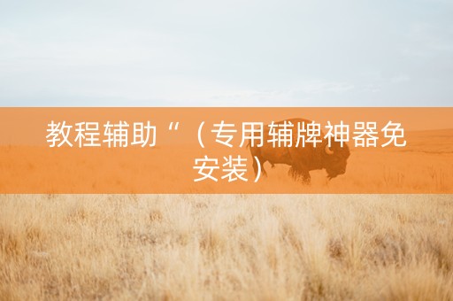 教程辅助“（专用辅牌神器免安装）