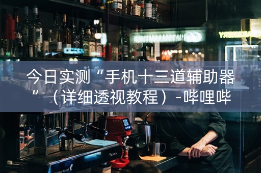 今日实测“手机十三道辅助器”（详细透视教程）-哔哩哔哩