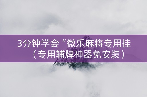 3分钟学会“微乐麻将专用挂（专用辅牌神器免安装）