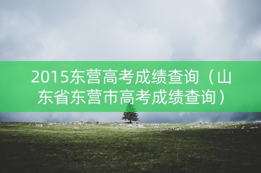 2015东营高考成绩查询（山东省东营市高考成绩查询）