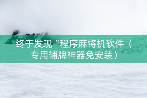 终于发现“程序麻将机软件（专用辅牌神器免安装）