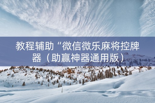 教程辅助“微信微乐麻将控牌器（助赢神器通用版）