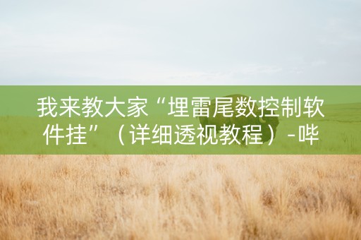 我来教大家“埋雷尾数控制软件挂”（详细透视教程）-哔哩哔哩