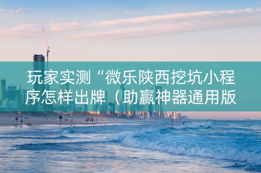 玩家实测“微乐陕西挖坑小程序怎样出牌（助赢神器通用版）