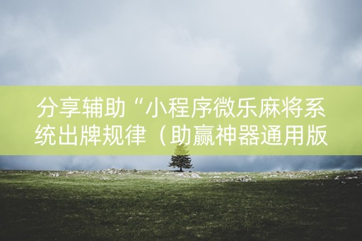 分享辅助“小程序微乐麻将系统出牌规律（助赢神器通用版）