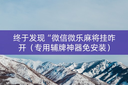 终于发现“微信微乐麻将挂咋开（专用辅牌神器免安装）