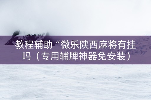教程辅助“微乐陕西麻将有挂吗（专用辅牌神器免安装）