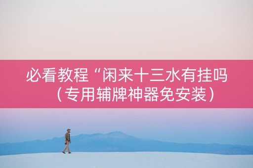 必看教程“闲来十三水有挂吗（专用辅牌神器免安装）