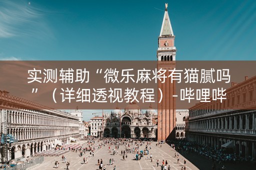 实测辅助“微乐麻将有猫腻吗”（详细透视教程）-哔哩哔哩
