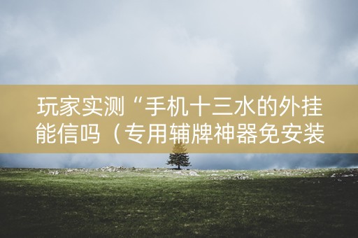 玩家实测“手机十三水的外挂能信吗（专用辅牌神器免安装）