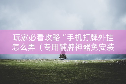 玩家必看攻略“手机打牌外挂怎么弄（专用辅牌神器免安装）