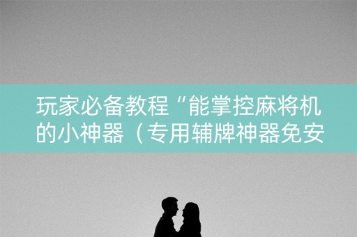 玩家必备教程“能掌控麻将机的小神器（专用辅牌神器免安装）