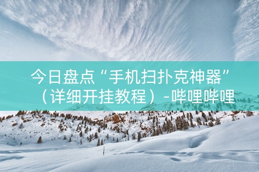 今日盘点“手机扫扑克神器”（详细开挂教程）-哔哩哔哩