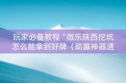 玩家必备教程“微乐陕西挖坑怎么能拿到好牌（助赢神器通用版）